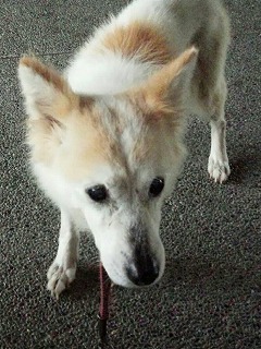 バナちゃん１枚目