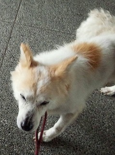 バナちゃん２枚目