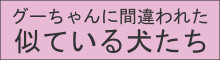 グーちゃんに間違われた似た犬たち