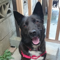 笑顔が素敵なブッキー