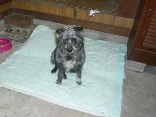 ゴミを廃棄した後の倉庫