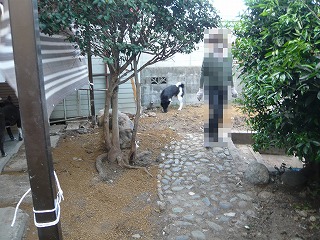 環境改善後の裏庭