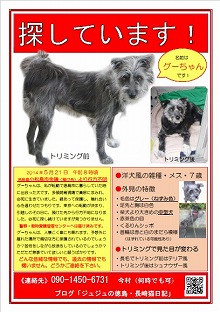 グーちゃん捜索チラシ表面