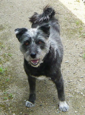 甘えるグーちゃん