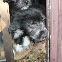 倉庫で暮らしていた頃