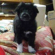 倉庫の中で活発に動いていた頃