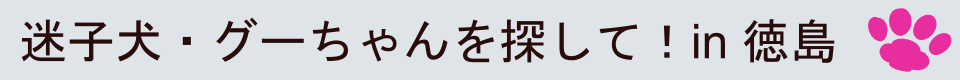 迷子犬・グーちゃんを探して！in 徳島