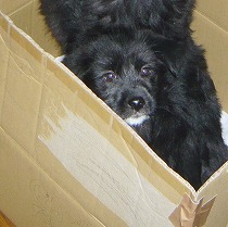 一番の小柄で育つのか心配だった頃