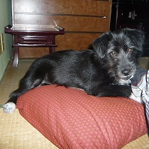 里子に迎えられ寛ぐ様子