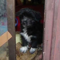 倉庫で暮らしていた頃