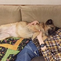 里親さまと一緒に眠る様子