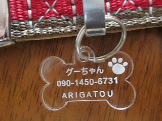 グーちゃんの迷子札