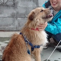 里親さまと初対面の日