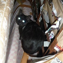 荒れた室内でくらしていた頃