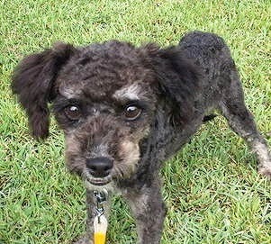 ゆめちゃん１枚目