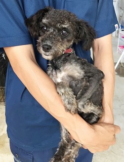 ゆめちゃん２枚目